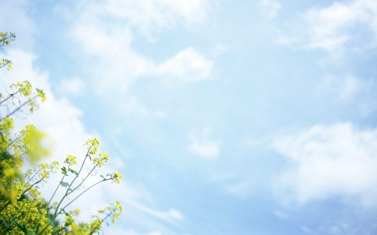 Трава нежный фон