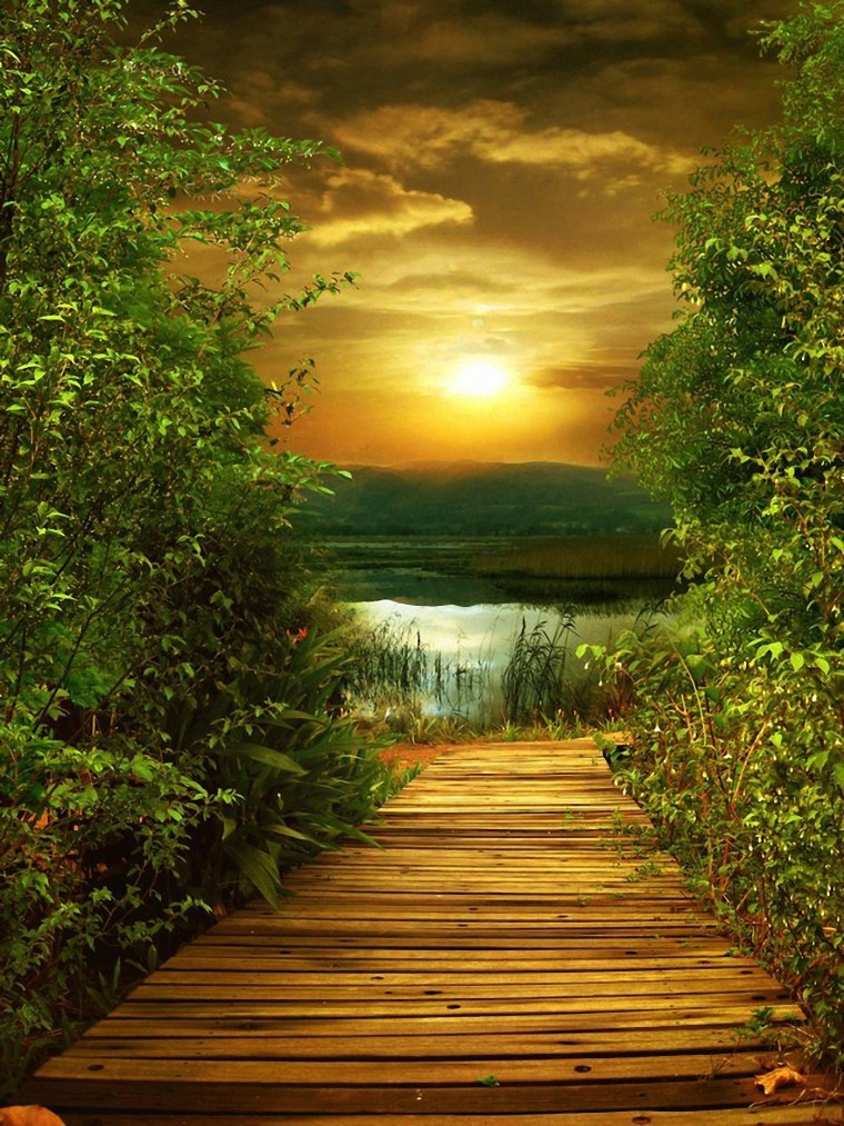 Цветы по бокам