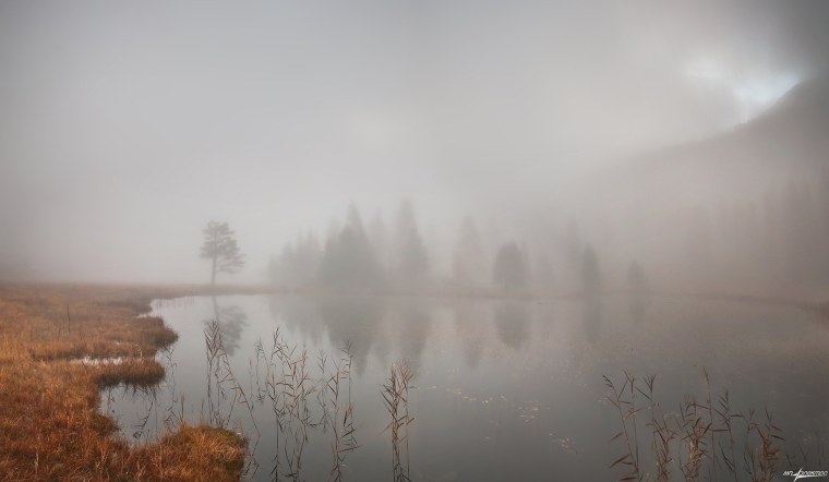 Забвение пахнет корицей книга
