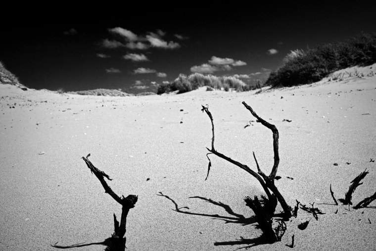 Право на забвение картинки