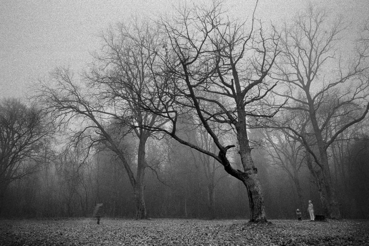 Неосюрреализм Джорджа Грие