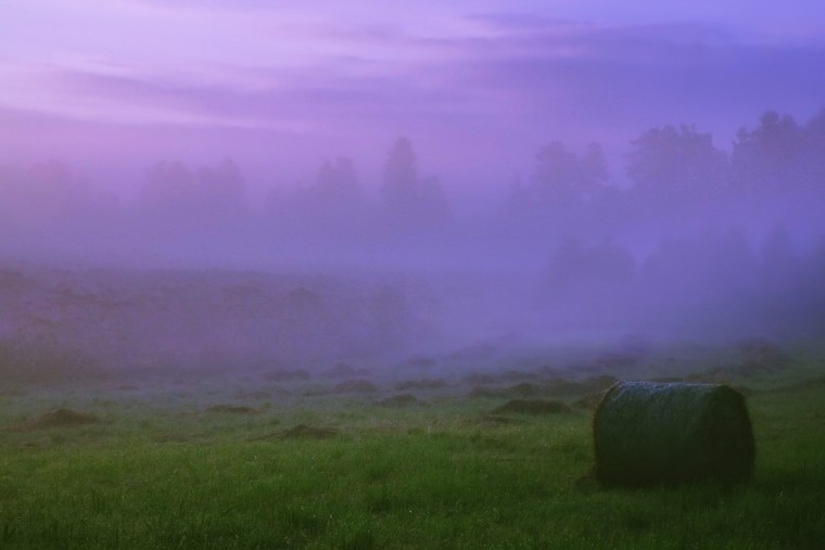 Альберт дрос фотограф