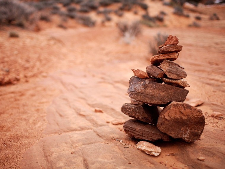 Коричневый цвет в природе