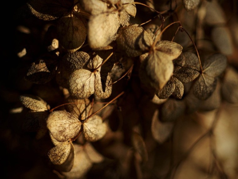 Спальня в шоколадных тонах
