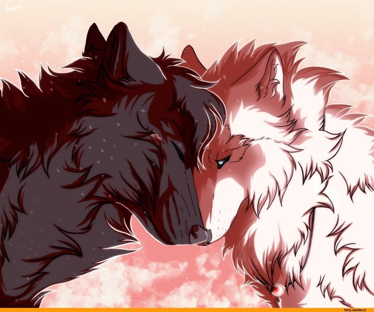 Красивые арты Волков