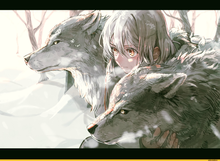 Аниме волки люди