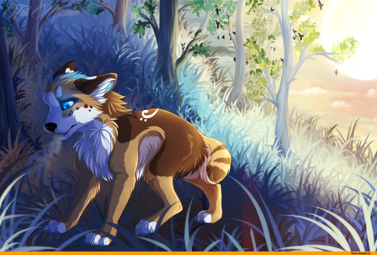 Волки аниме