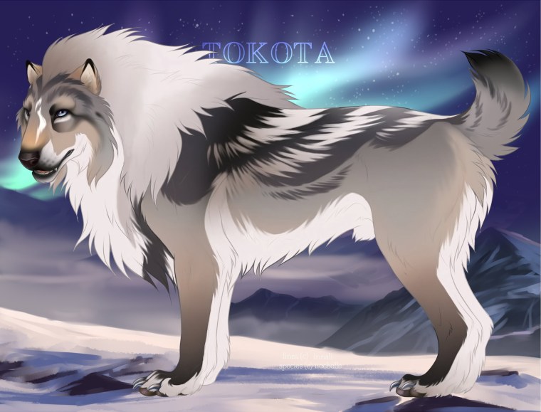 Tokota Art волки