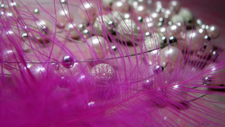 Обои на рабочий стол цветы