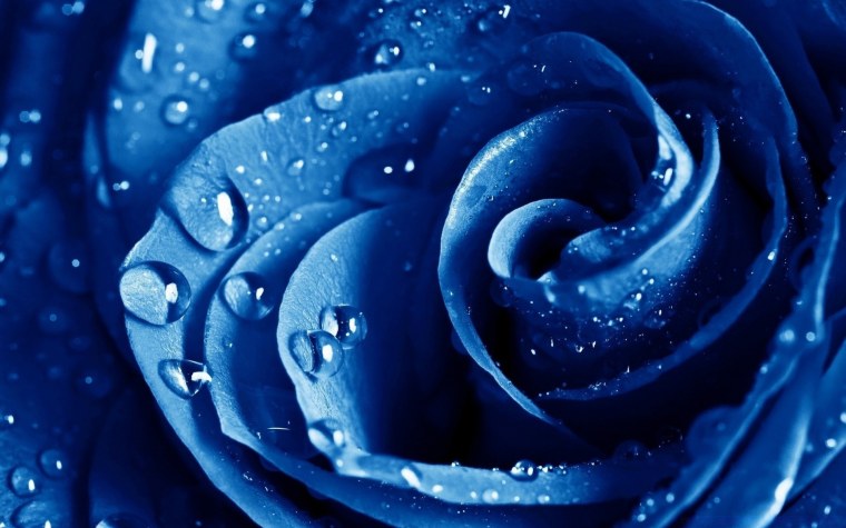 Милые котятки