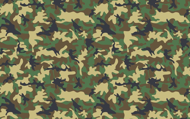 Камуфляж Российской армии
