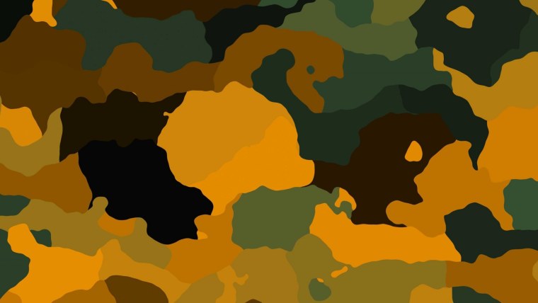 Bape камуфляж