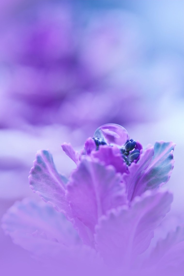 Бирюзовый и фиолетовый