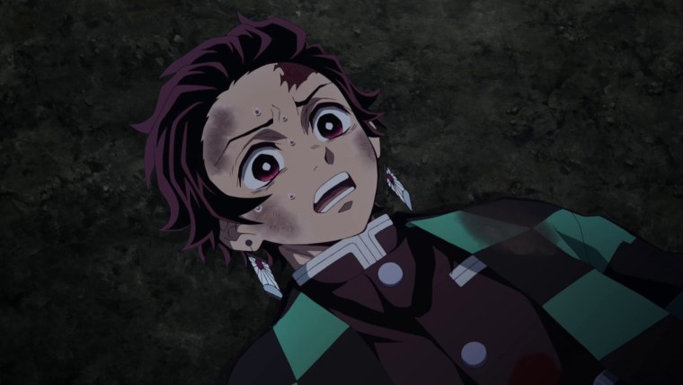 Demon Slayer Kamado Tanjirou