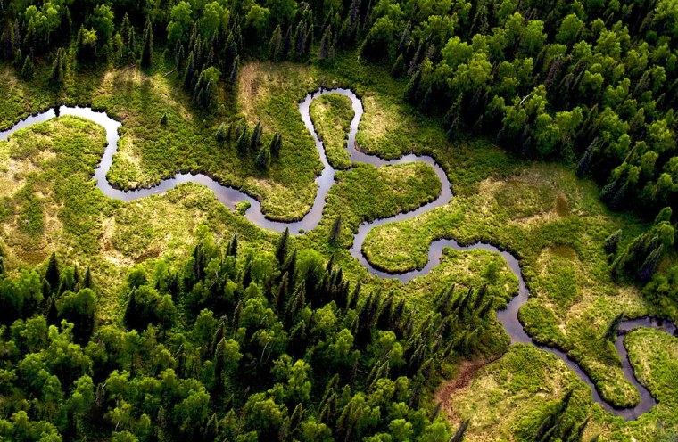 Бразилия Амазонская низменность