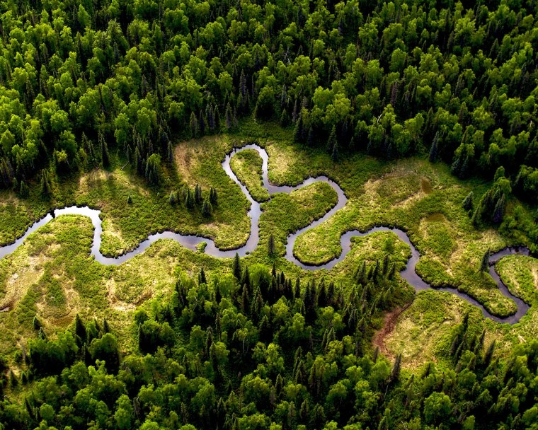 Река Амазонка в Бразилии