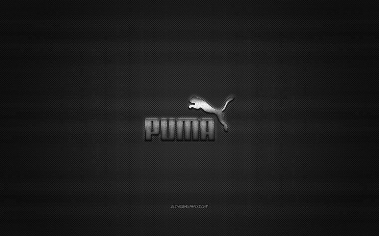 Лого концепт Пума