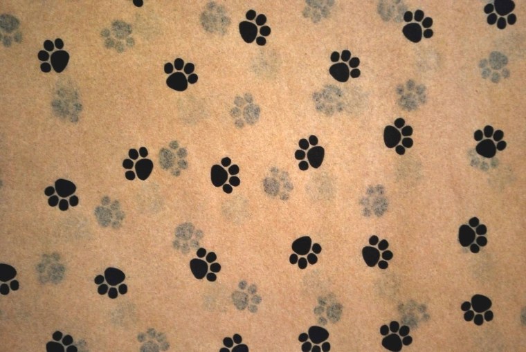 Принт кошачьи лапки