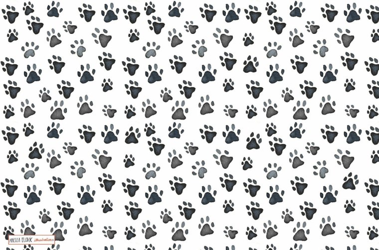 Паттерн лапки