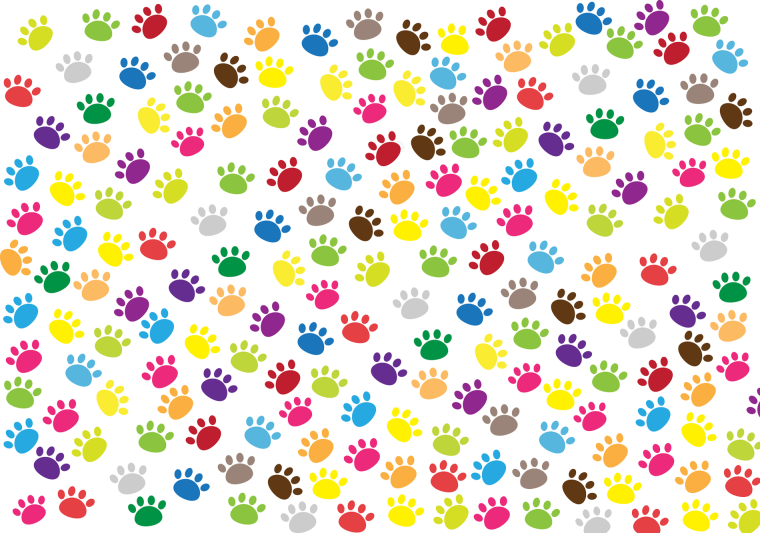 Собачий след и косточка