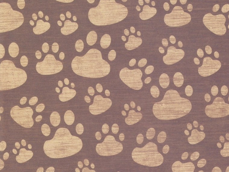 Принт кошки