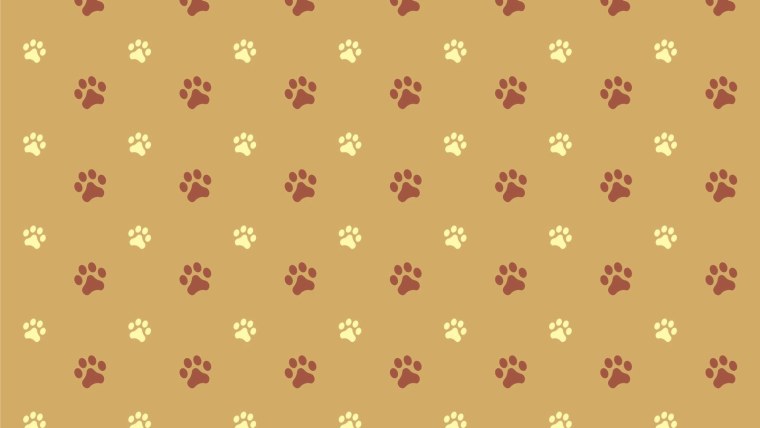 Паттерн лапки