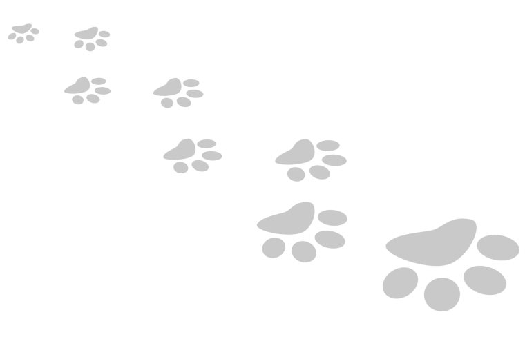 Паттерн собаки
