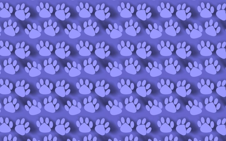 Розовые лапки