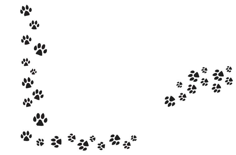 Фон собачьи лапы