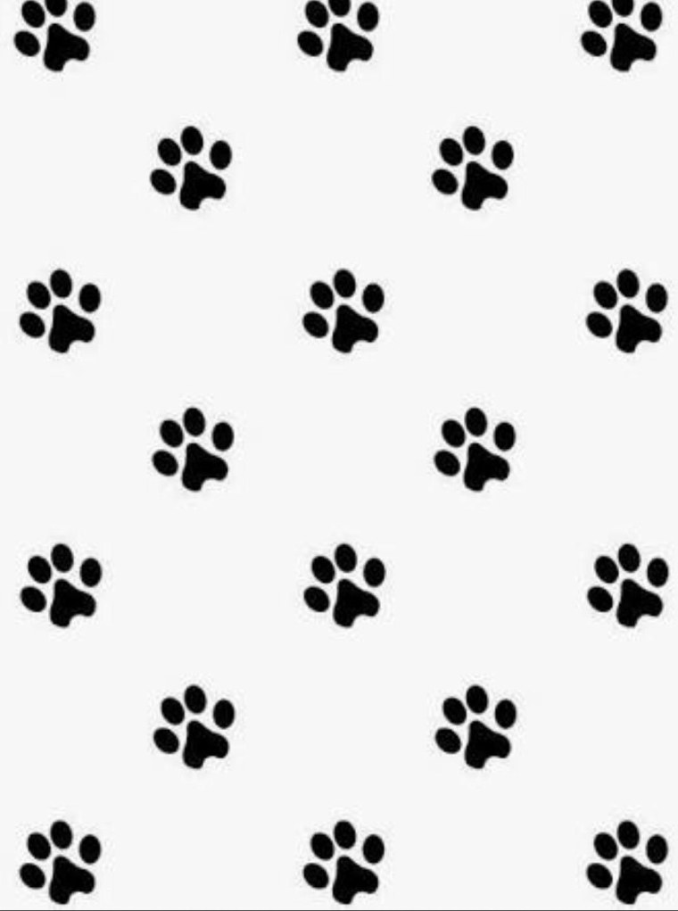 Кошачьи следы