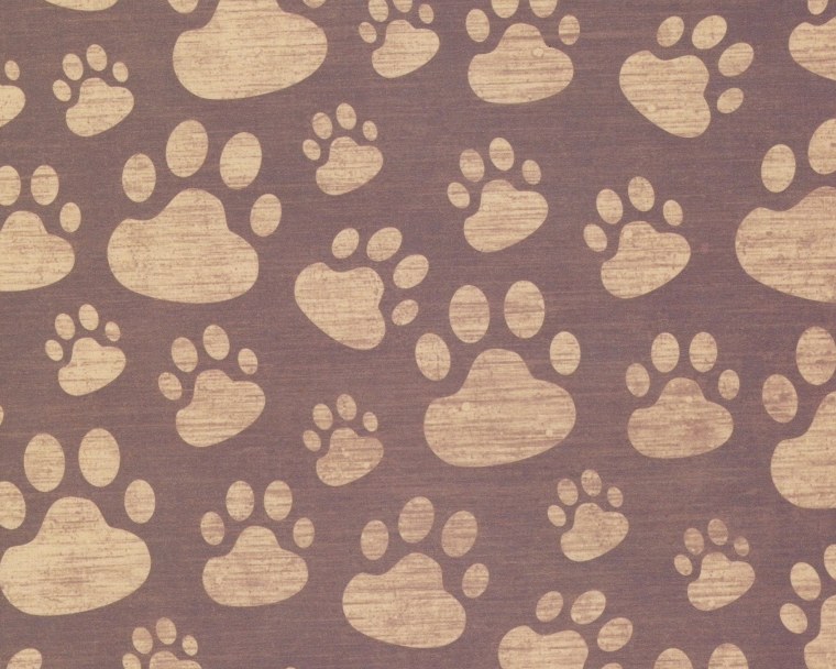 Голубой фон с лапками