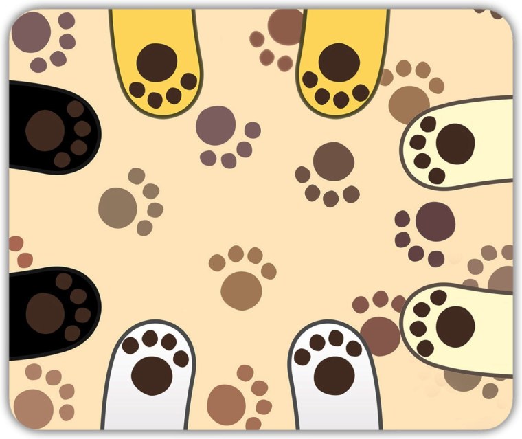 Красивые фоны с кошками вектор