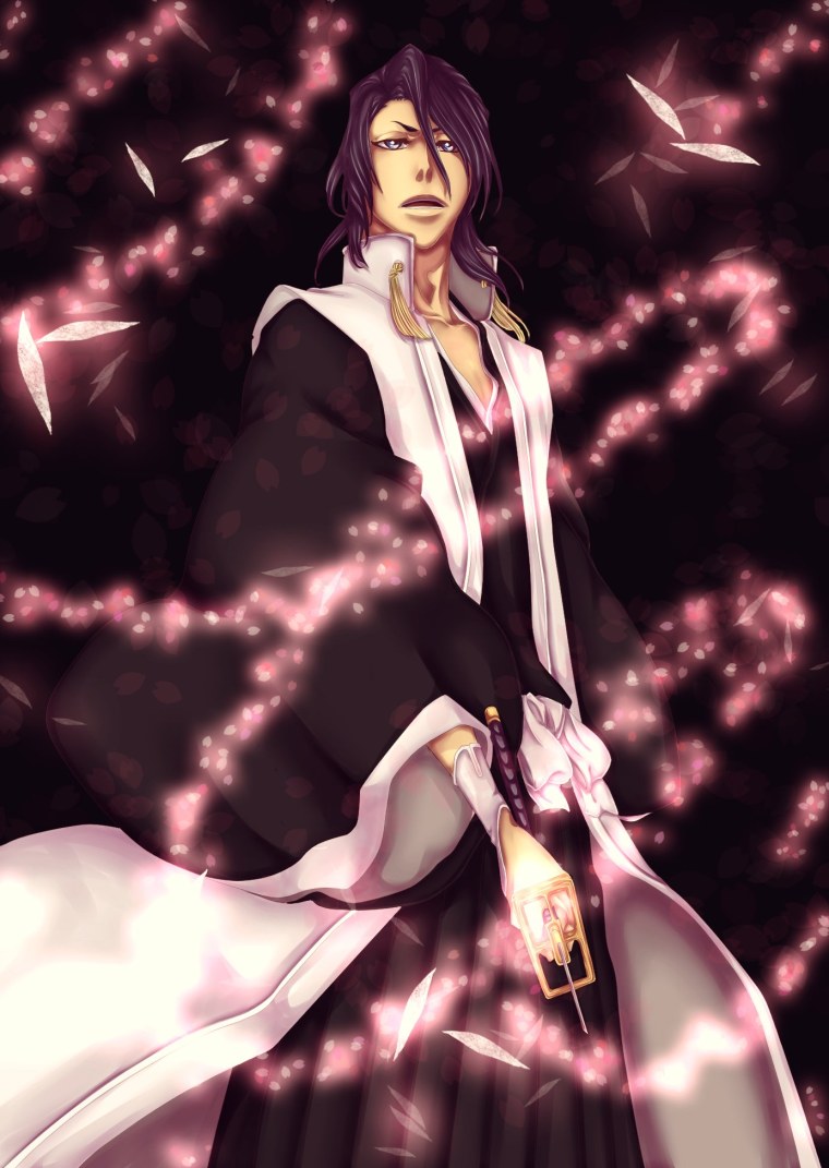 Капитан Кучики Бьякуя