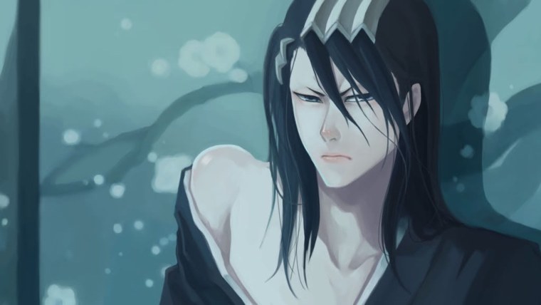 Бьякуя Кучики новый