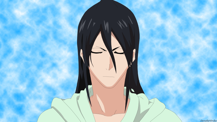 Капитан Кучики Бьякуя