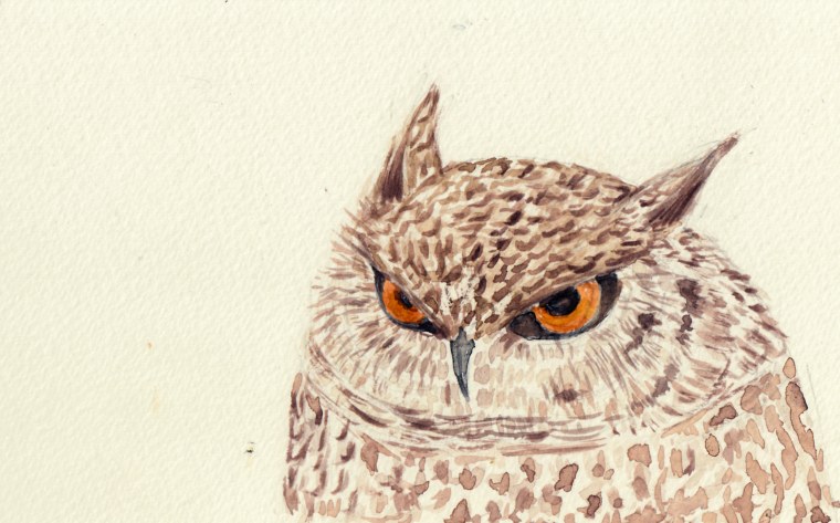 Сова рисунок