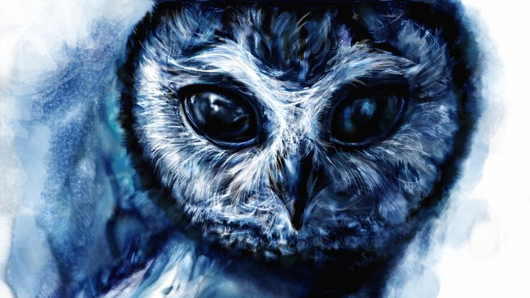 Сова Минимализм