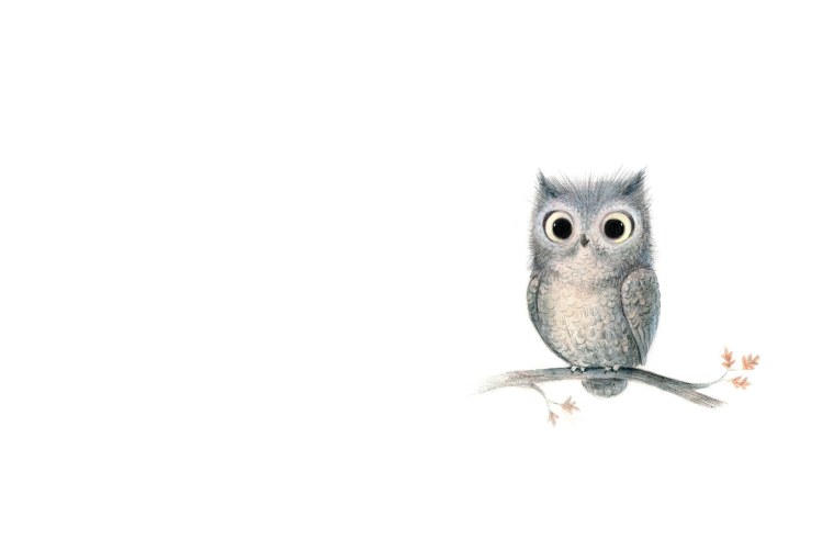 Совенок на белом фоне