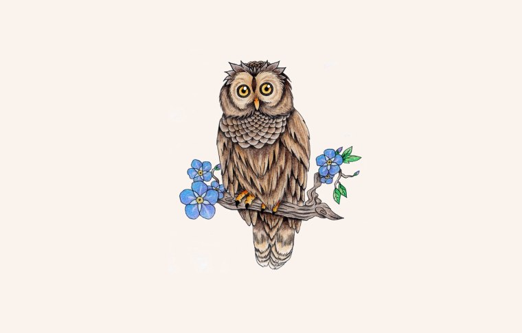 Обои с изображением Совы