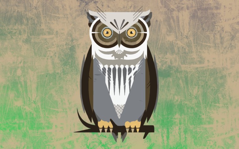Сова арт