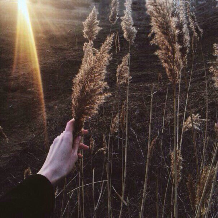 Эстетика будней