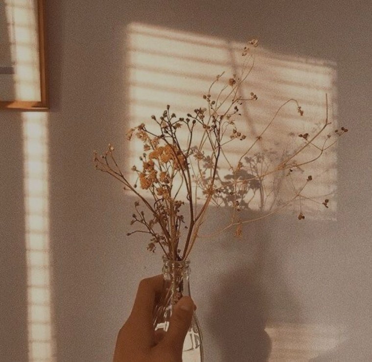 Эстетика красивая