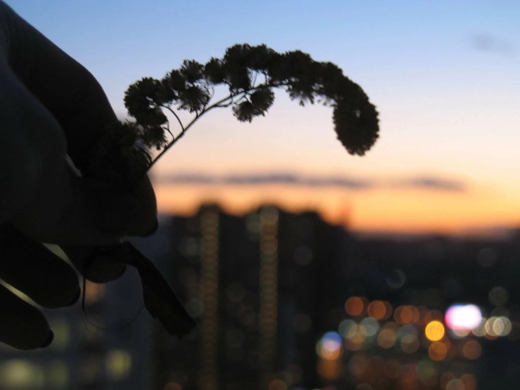 Эстетика розового руки