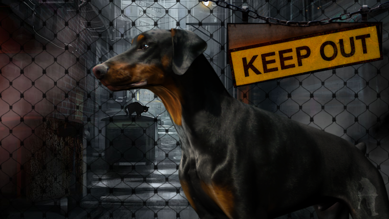 Доберман-пинчер Эстетика