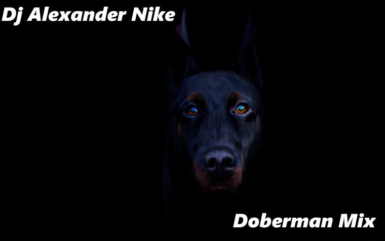 Доберман 4k