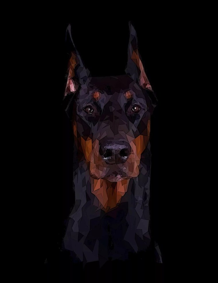 Доберман коричневый некупированный