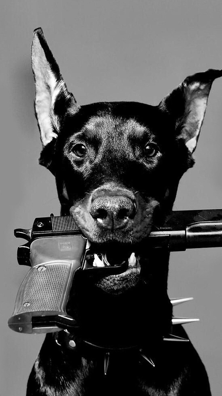 Доберман 3д