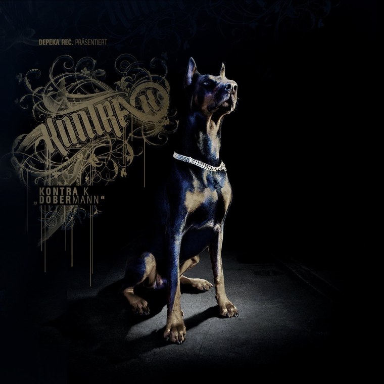 Доберман чёрный эстэтика