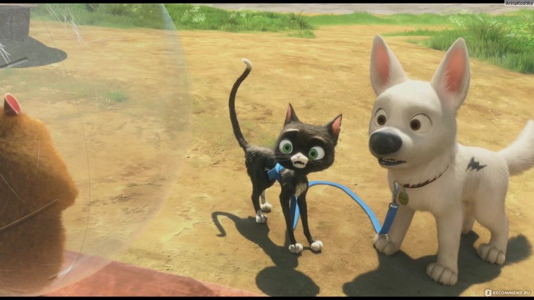 Вольт мультфильм 2008