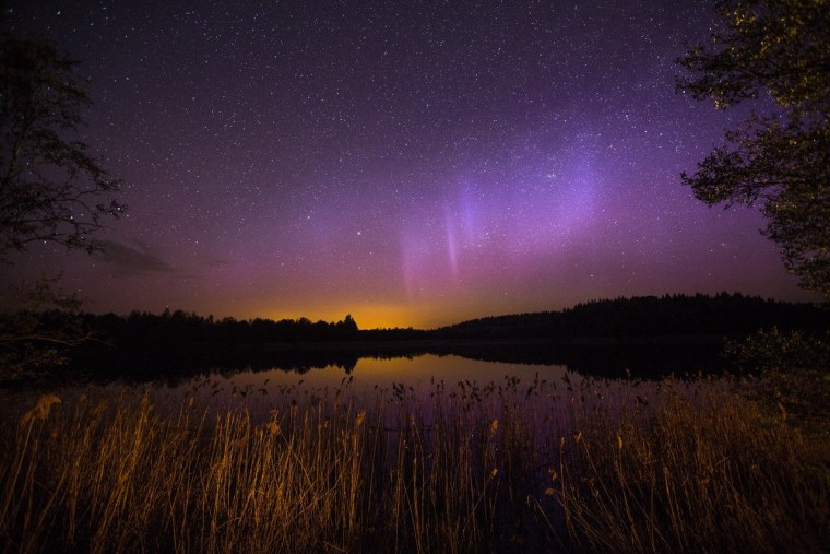 Летняя ночь